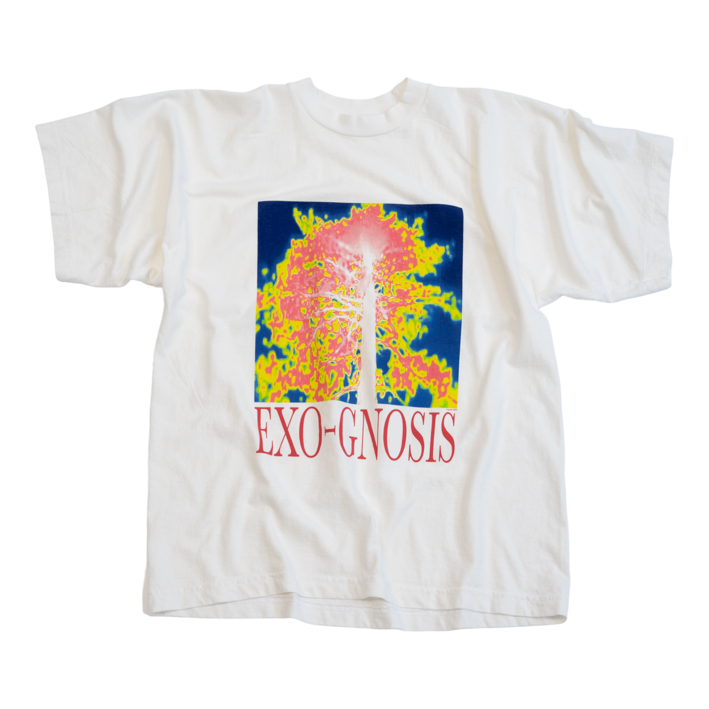 TUBULAR T EXO-GNOSIS