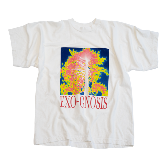 TUBULAR T EXO-GNOSIS